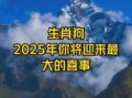 属狗女性2025年5月购房吉日 属狗者领证吉日