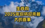 属狗女性2025年5月购房吉日 属狗者领证吉日