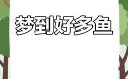 孕妇梦见捕鱼 孕妇梦见捕鱼预示什么周公解梦