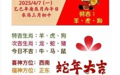 春来冬去赚美金打一生肖