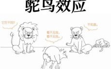 不羁难驭动物谜底