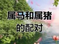 男属猪女属马相配吗男属马女属猪婚姻如何