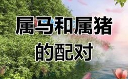 男属猪女属马相配吗男属马女属猪婚姻如何