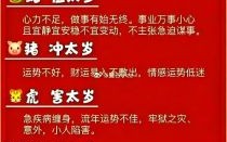1983年属猪人2025年运势详解 42岁生肖猪蛇年每月运程