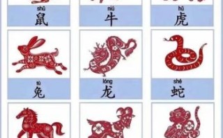 悄然无声是哪个生肖