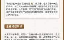 论辩如云指一生肖