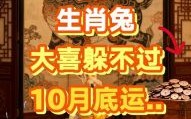 属兔2025年开火最旺吉日查询 属兔2025年开业吉日选择