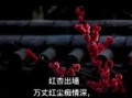 一支红杏出墙中打一正确生肖