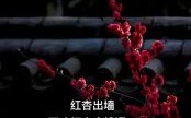 一支红杏出墙中打一正确生肖