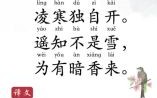 四字梅花诗是什么生肖？2025新澳门正版梅花诗