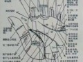 手掌川字纹男士图解  双手川字纹男士手相