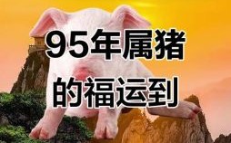 属猪的出生年份属猪的三大贵人