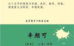 辛姓起有诗意的名字女孩 辛姓女孩取名字