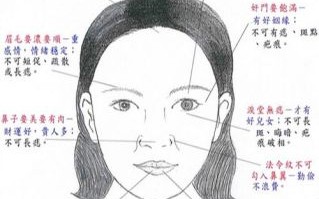 面相图详解28岁女性面相解析图