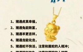 终须一老是什么生肖？命里终须有是什么生肖