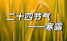 寒露在2023年的具体日期