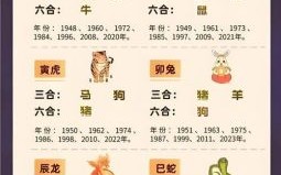 欢喜若狂代表什么生肖