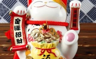 养哪种颜色的猫聚财养什么类型的猫纳财