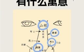恋爱运势图解全解，鼻子运势图解
