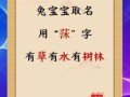 莯是什么生肖？婊孑打一最佳生肖