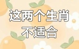 属牛的最佳配对属相，属兔的忌讳属相