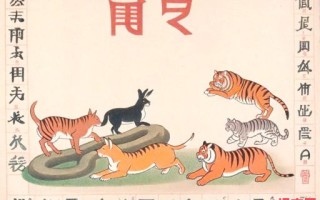 乍现乍隐猜一生肖