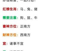 元气满满打一生肖