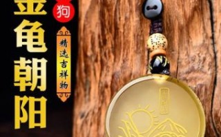 朝阳属什么生肖