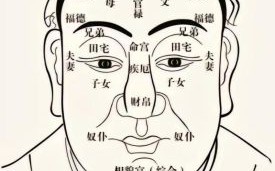 男性右腮长痣与女性左腮长痣的面相图解