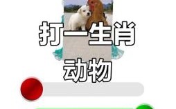     什么是生肖 猜一正确生肖动物