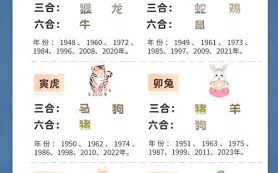 一命冲天是什么生肖？一等命的属相