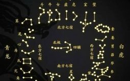 七星伴月指什么动物