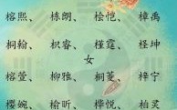 属木的字女孩名字 属性木的女孩名字