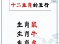 南北通商说一生肖 南北论一生肖为何