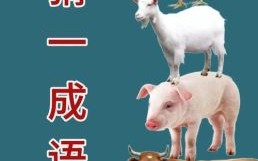 一刀两断是指什么动物一刀两断猜一种动物