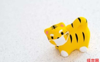 属狗男最佳婚配属相 属狗女十大最佳婚配