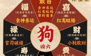 属狗2025年适宜婚嫁吉日有哪些 属狗2025年家运如何