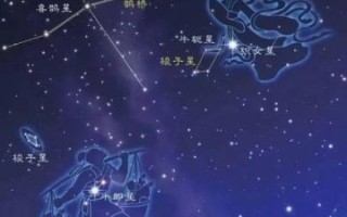 牛郎星织女星属于哪个星座