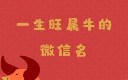 今年属牛的人运势怎样属牛的人这几天运气怎样