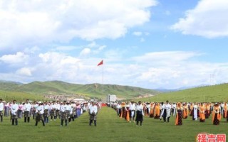 火炬草原寻一属