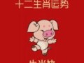 属猪今日运程