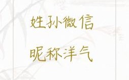 孙姓男孩取名 孙姓男孩取名100分