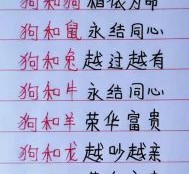 94年属狗的最佳婚配属相，生肖配对解析与姻缘指南