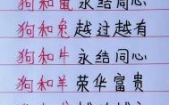 94年属狗的最佳婚配属相，生肖配对解析与姻缘指南