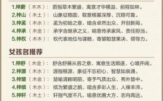 男名大气用字梓字起名禁忌