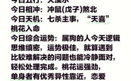 属狗人2022年全年运势解析 82年属狗人每月运程详解