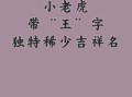 王字旁的名字女孩名字 王字旁的字用于女孩名字