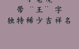 王字旁的名字女孩名字 王字旁的字用于女孩名字