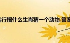 路一条还要走是什么生肖？江河湖海任我行是什么生肖?