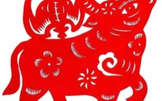 金童玉女猜最佳生肖